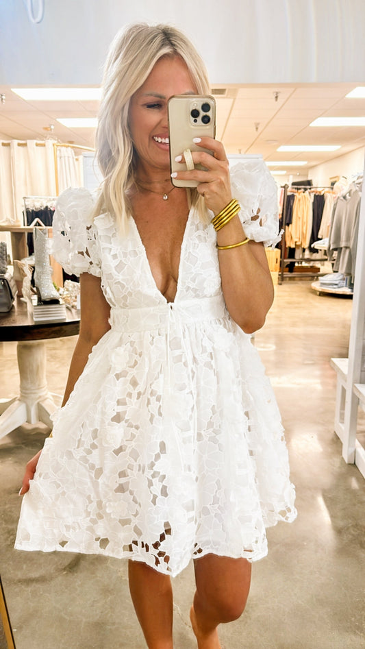 Arabella Lace Plunge Dress