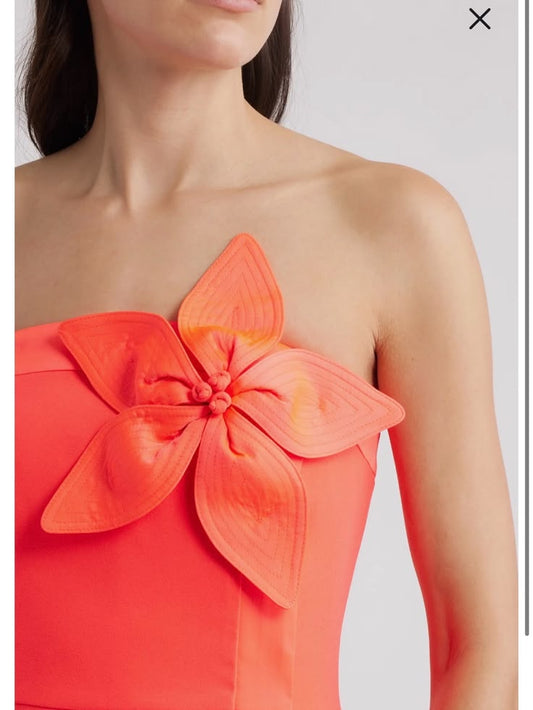 Arabella Strapless Floral Appliqué Dress