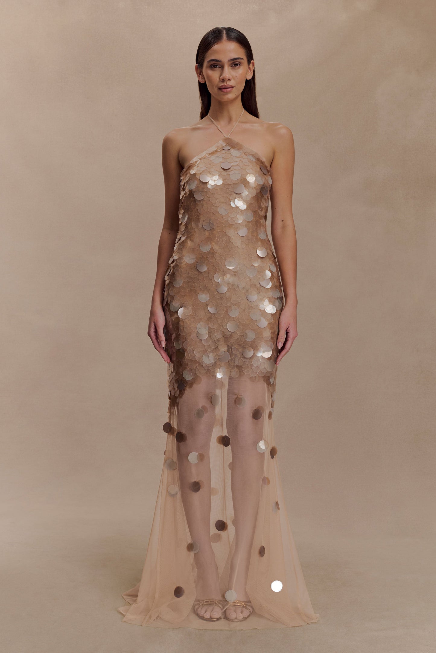 Gold Jenny Hand-Embellished Maxi Dress in Gold