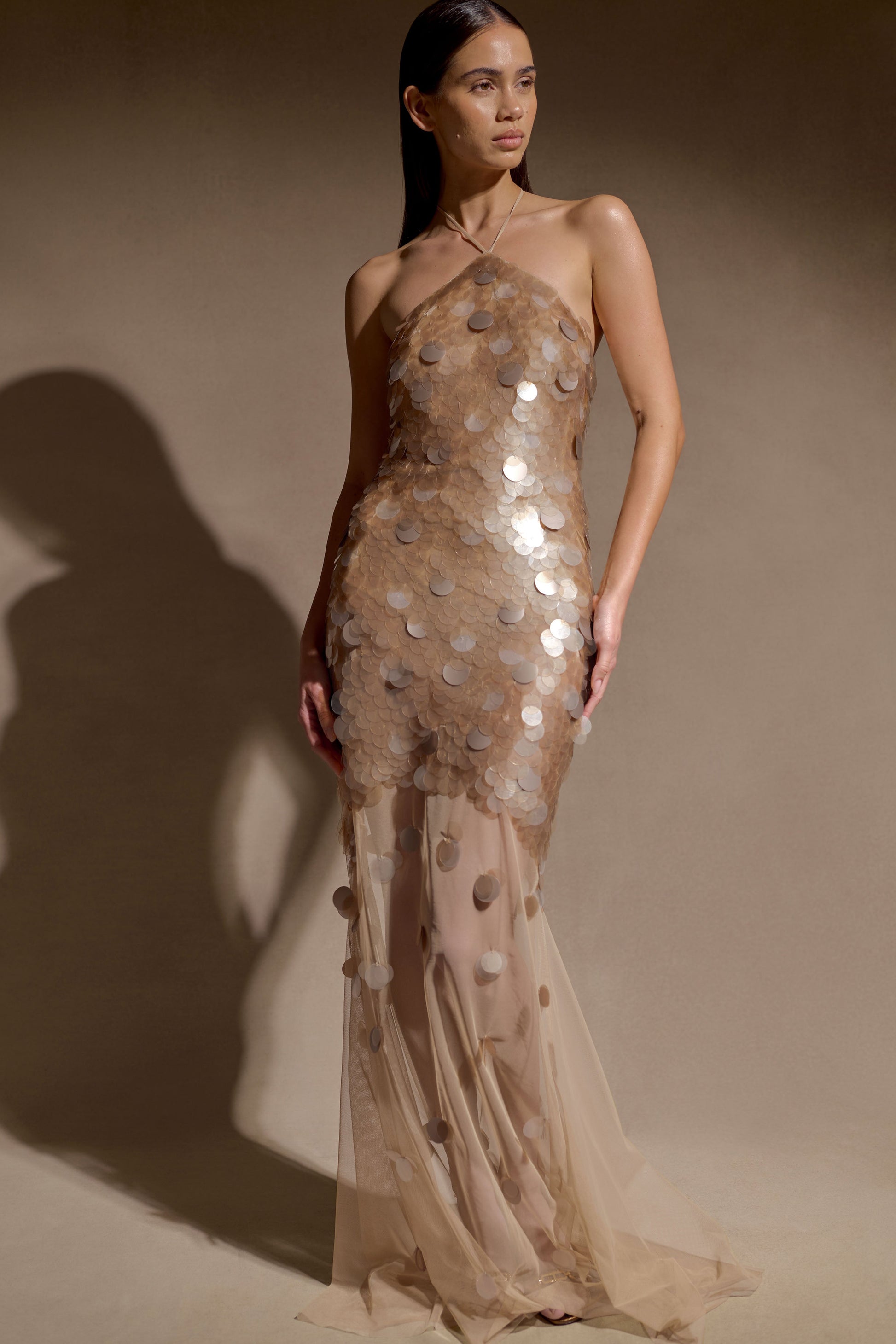 Gold Jenny Hand-Embellished Maxi Dress in Gold