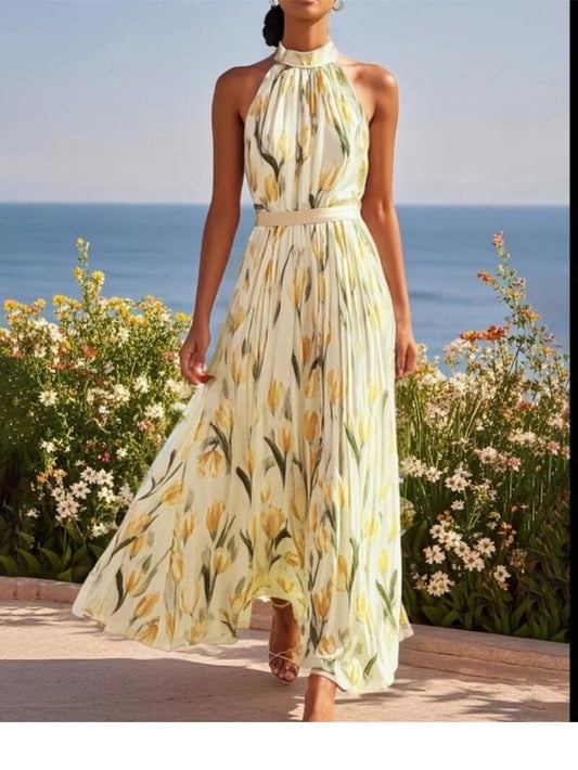 Isabelle Chiffon Halter Maxi Dress