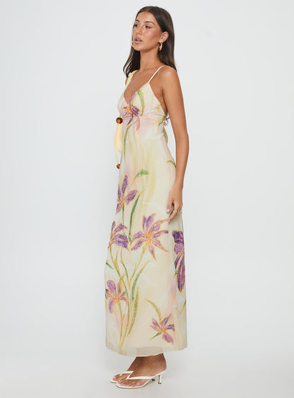 Floral / Multi Isakaia Beaded Floral Maxi Dress