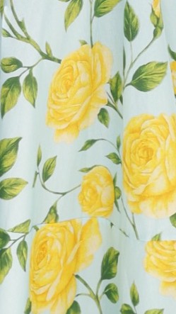 Lemon/Aqua Floral Kaethe Floral Maxi Dress