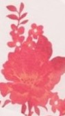 Red Floral Achelle Floral Maxi Dress
