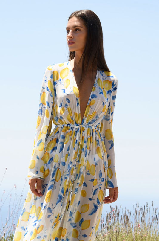 Chloe Sorrento Gown