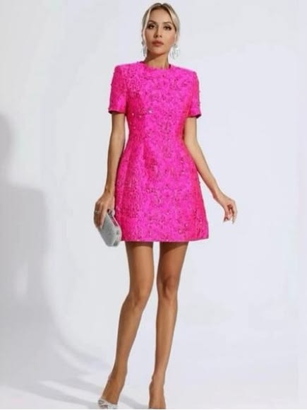 Vivienne Beaded Fuchsia Dress
