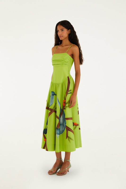 Arabella Sleeveless Maxi Dress in Green
