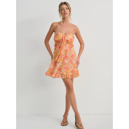 IRIS MINI DRESS
