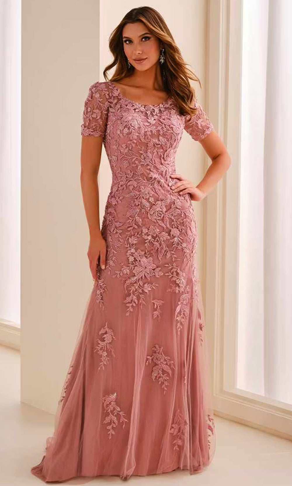 Light Mauve Cameron Blake CB450 - Embroidered Illusion Short Sleeve Formal Dress - 22W / Jade