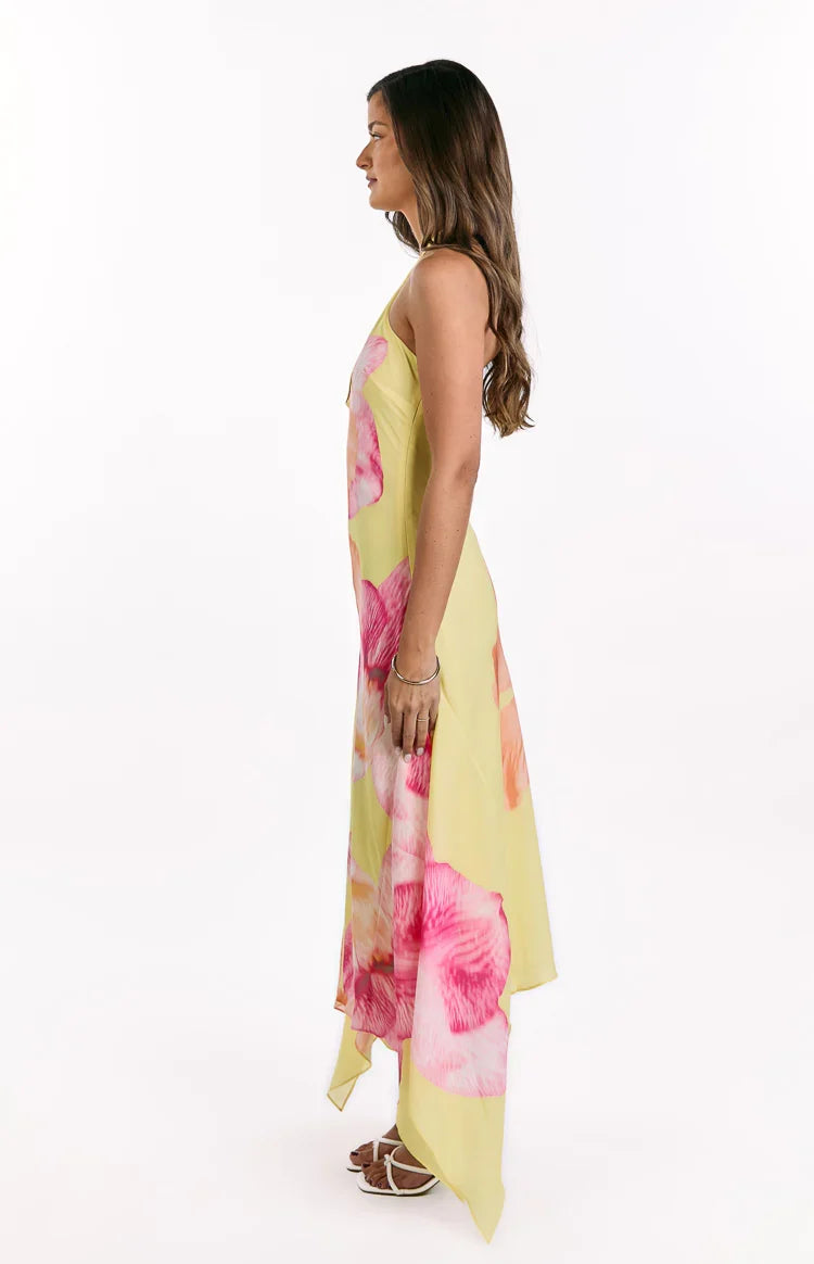 Elowen Floral Halter Maxi Dress