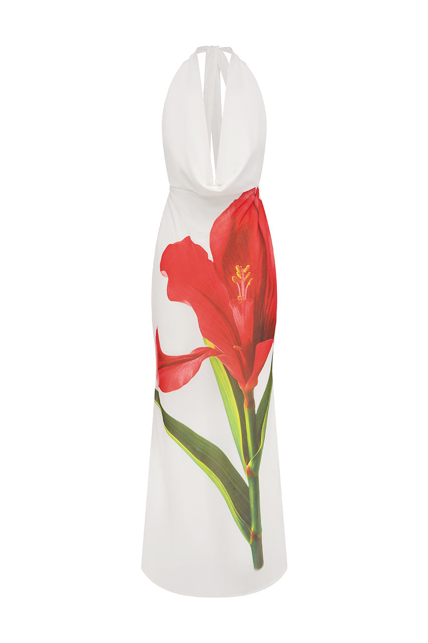 Red Lily Jasmina Silk Maxi Dress in Red Lily