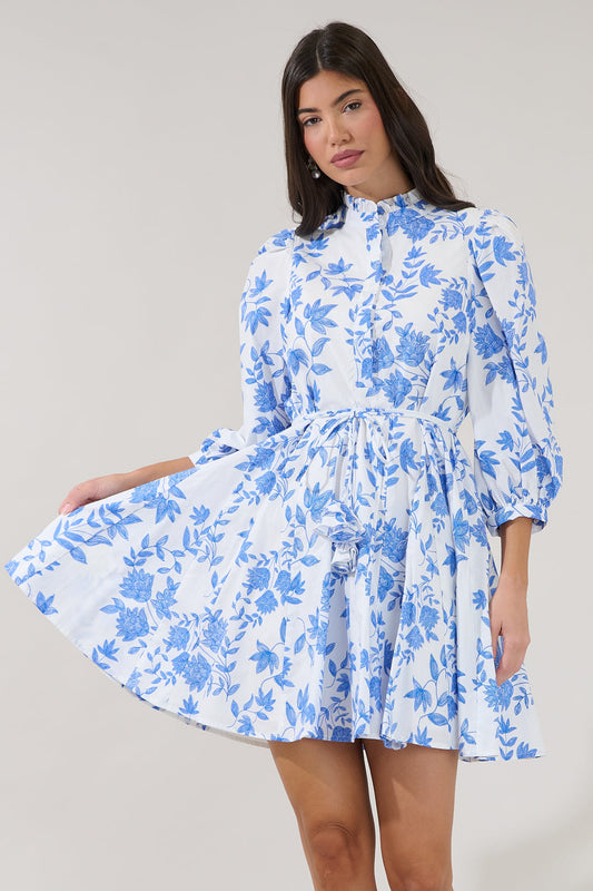 BLU-WHT Nesta Mockneck Godet Dress in Bluebell
