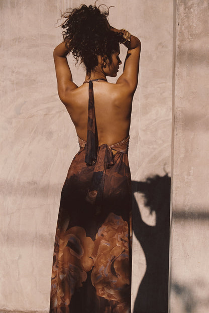 Rosalia Mesh Maxi Dress in Mocha