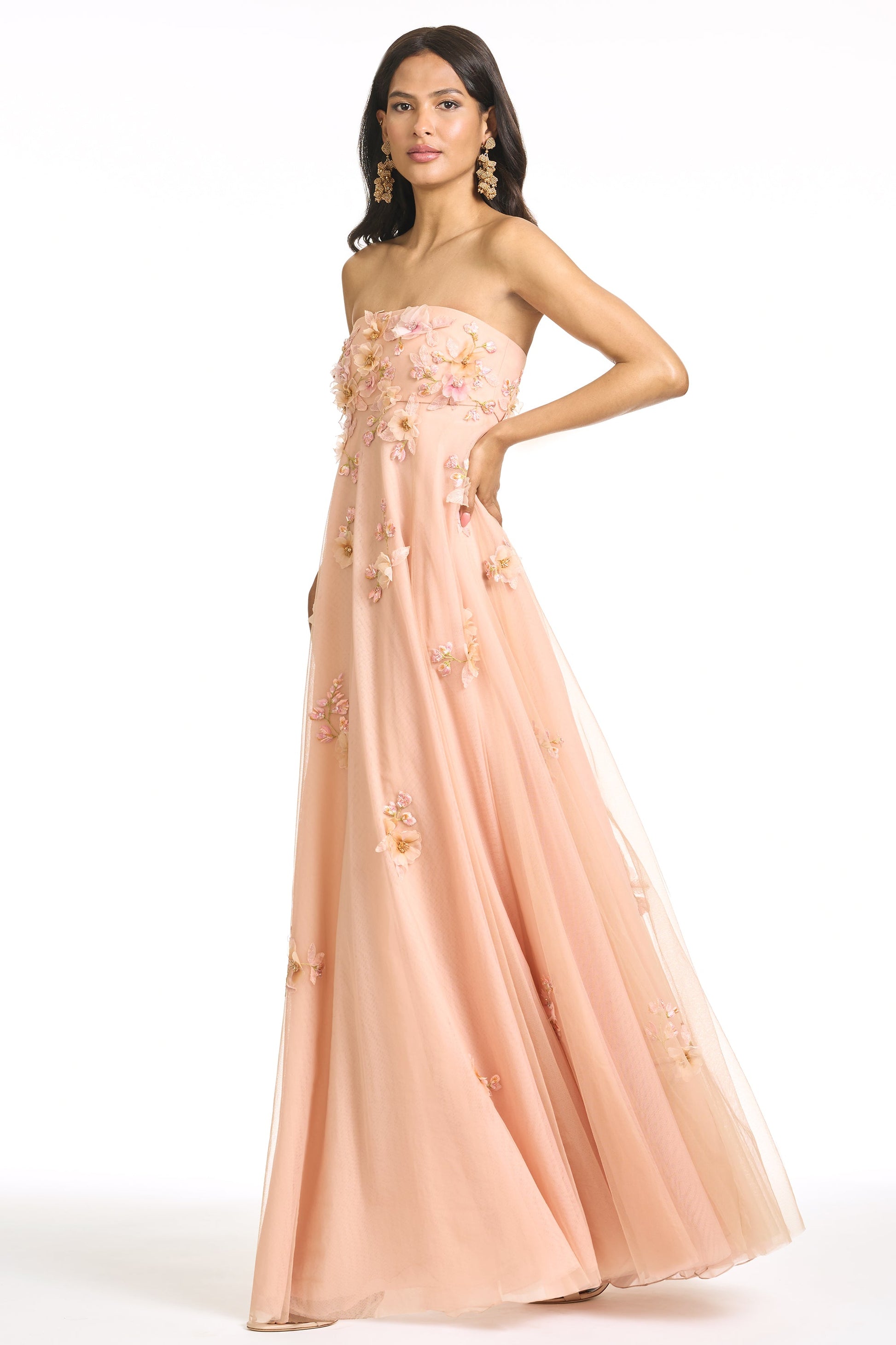 BLUSH Scarlett Embroidered Gown in Blush