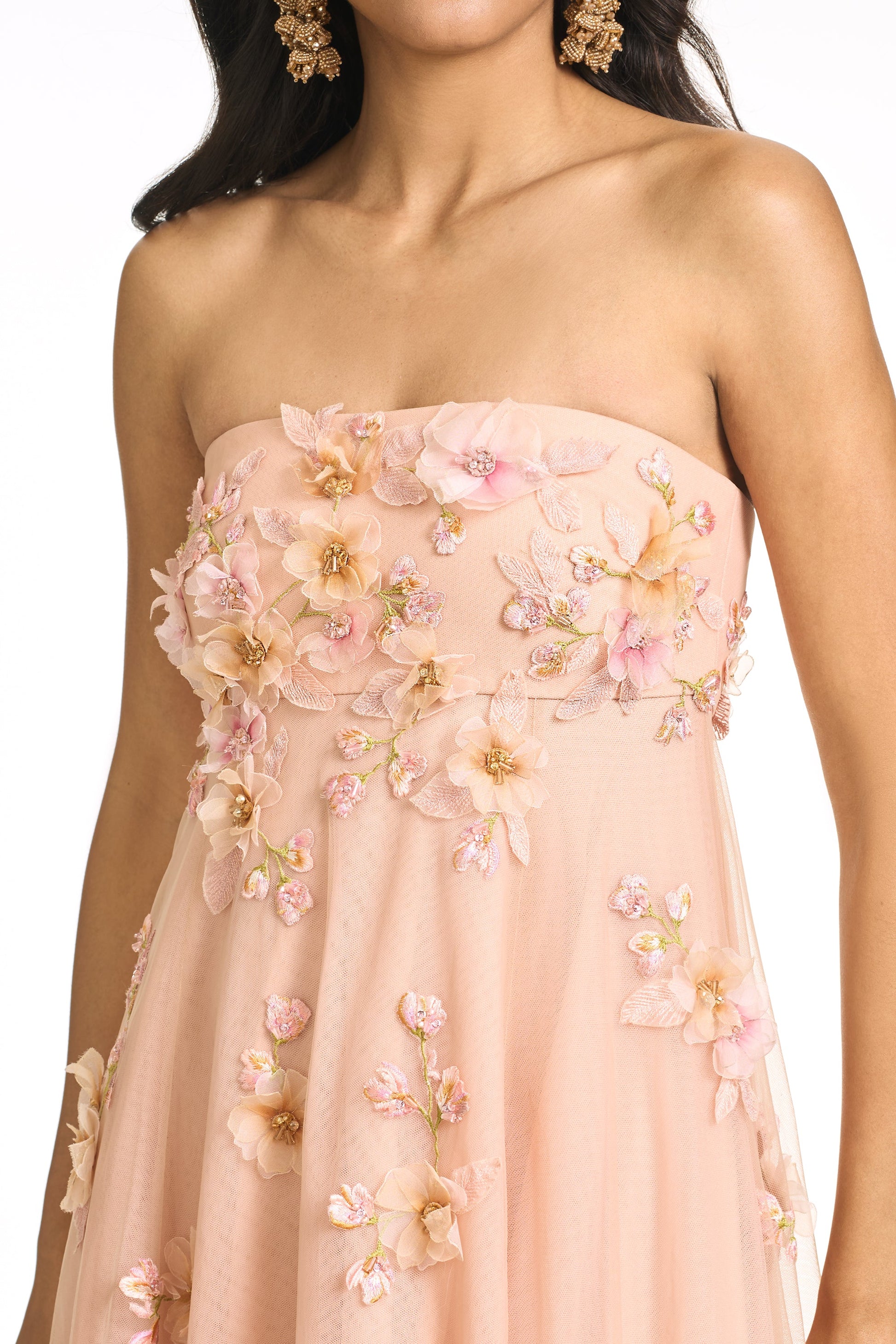 BLUSH Scarlett Embroidered Gown in Blush