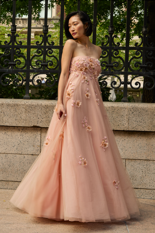 BLUSH Scarlett Embroidered Gown in Blush