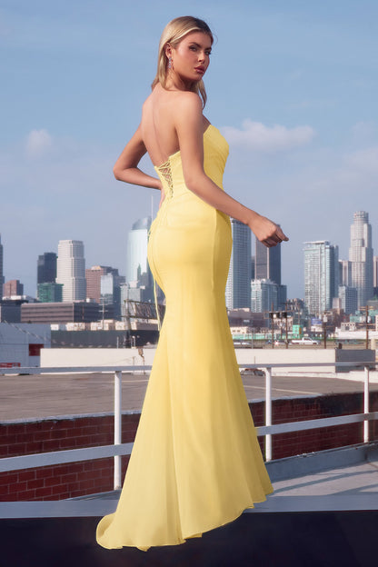 Espresso Vivienne Chiffon Strapless Gown