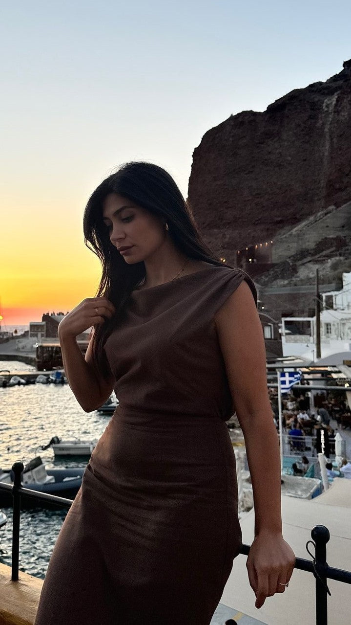 Brown Luci Silk Maxi Dress