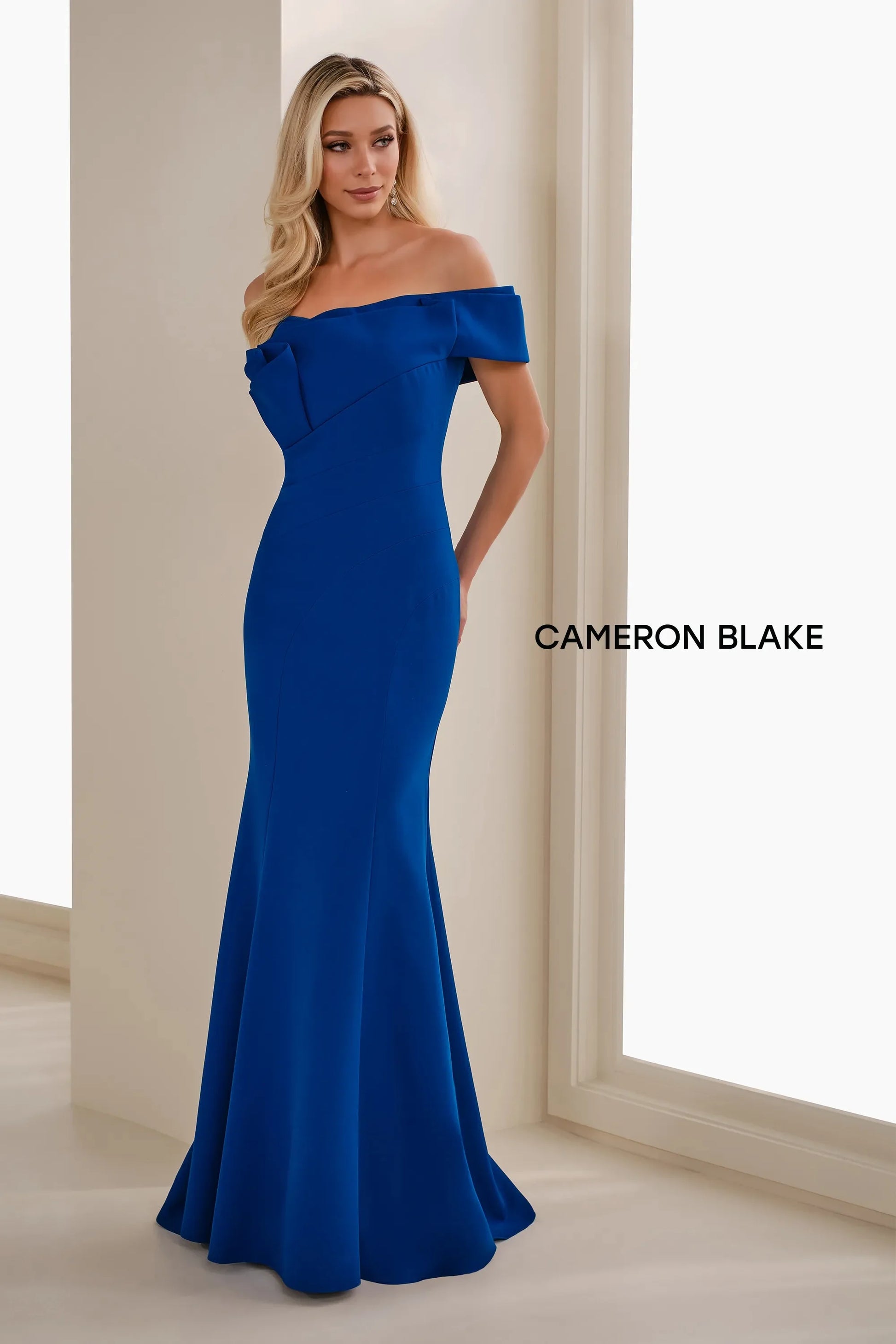 Royal Blue Vivienne Mermaid Evening Dress in Eggplant