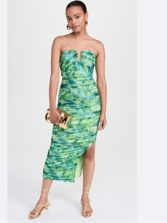 Larkspur Printed Mesh Midi Dress
