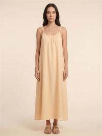 Apricot