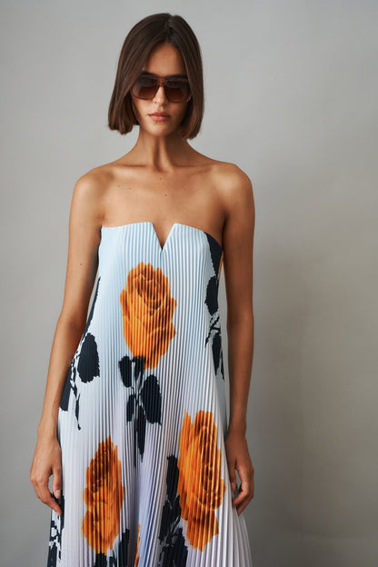 Margot Digital Rose Gown