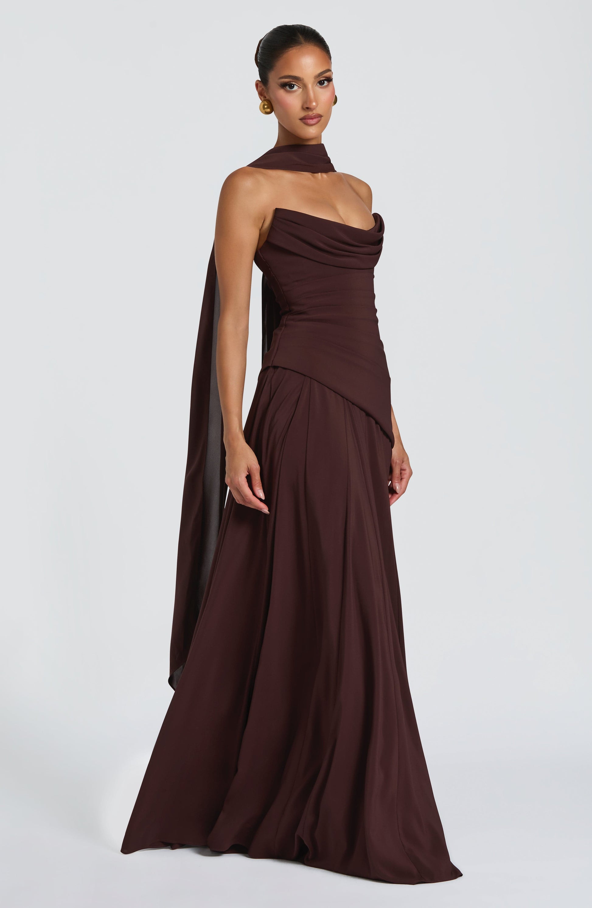 Plum Brown Patricia Maxi Dress - Blush